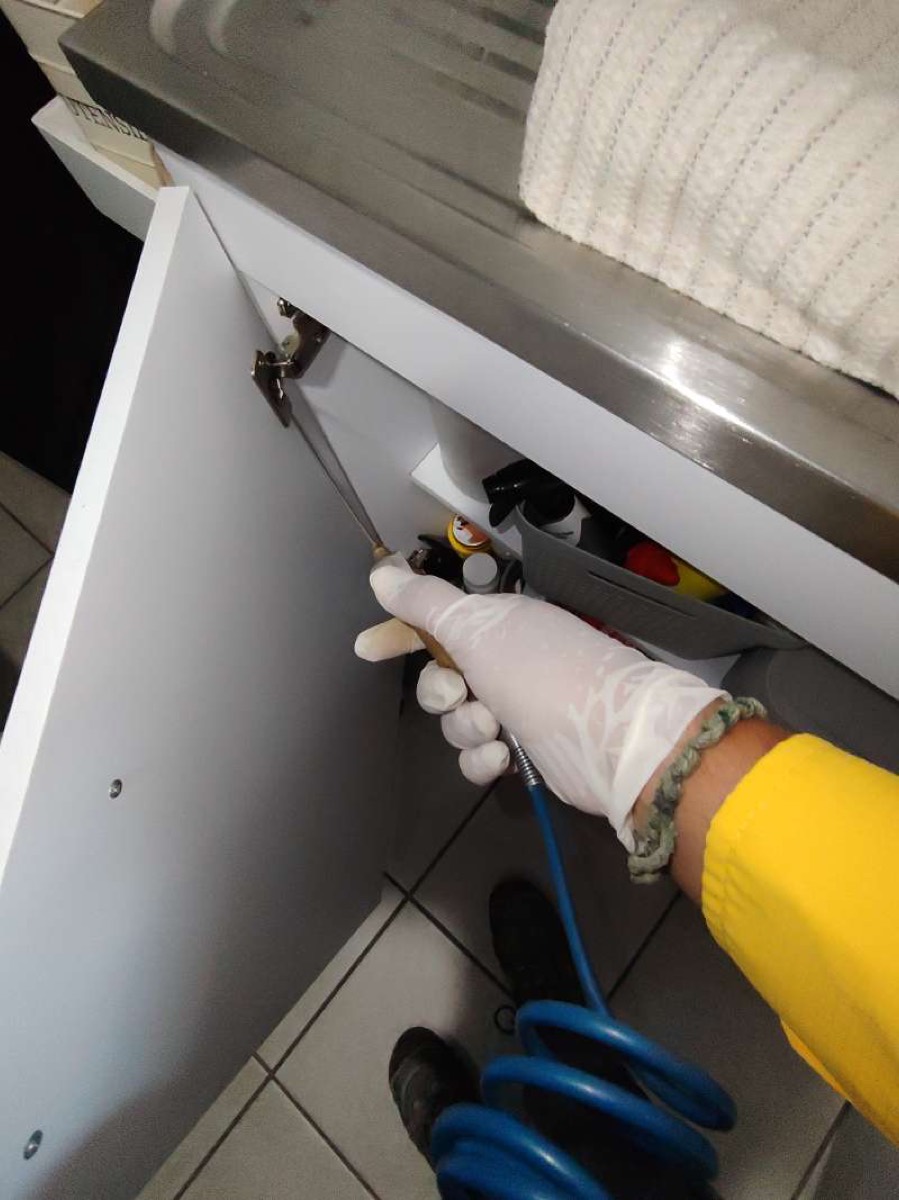 Technician applying gel bait under a sink against cockroaches