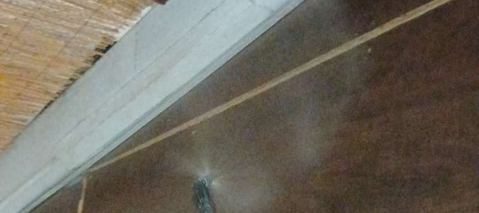 Aplicación de control de plagas en las vigas del techo
