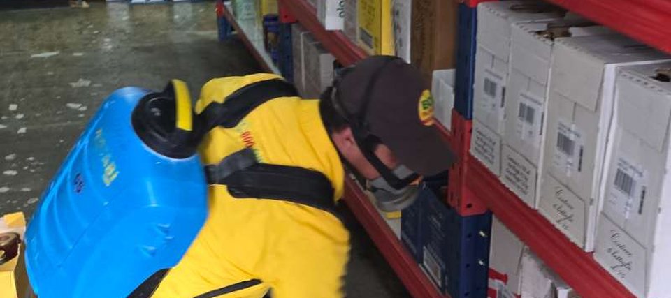 Aplicación de control de plagas en estanterías de una bodega