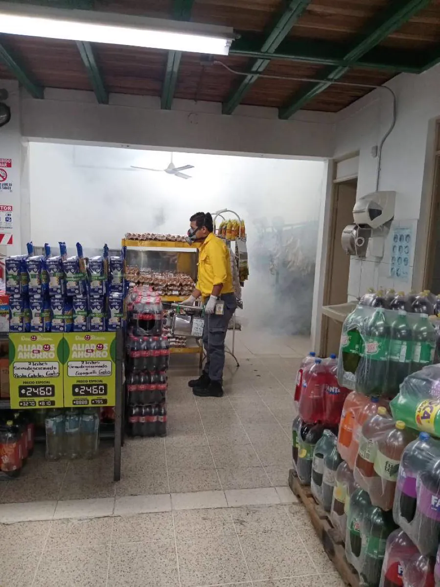 Nébulisation de lutte antiparasitaire dans une supérette du Costa Rica en dehors des heures d'ouverture