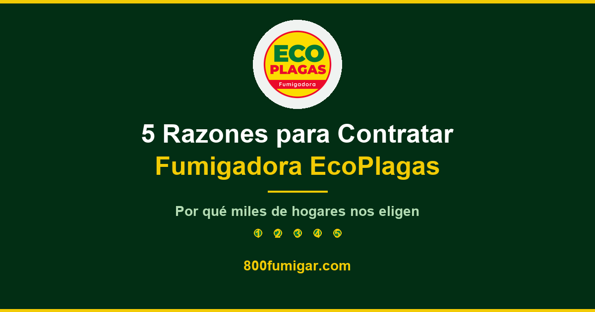 5 reasons to hire Fumigadora EcoPlagas