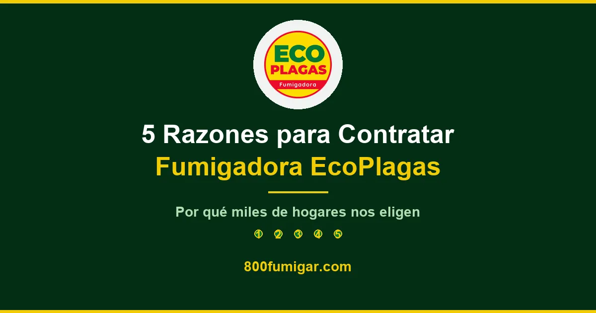 5 reasons to hire Fumigadora EcoPlagas
