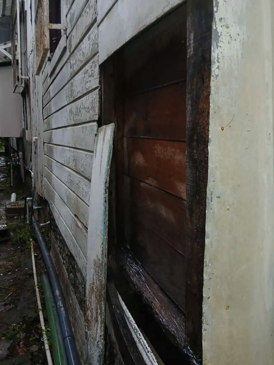 Pared de madera dañada por comején