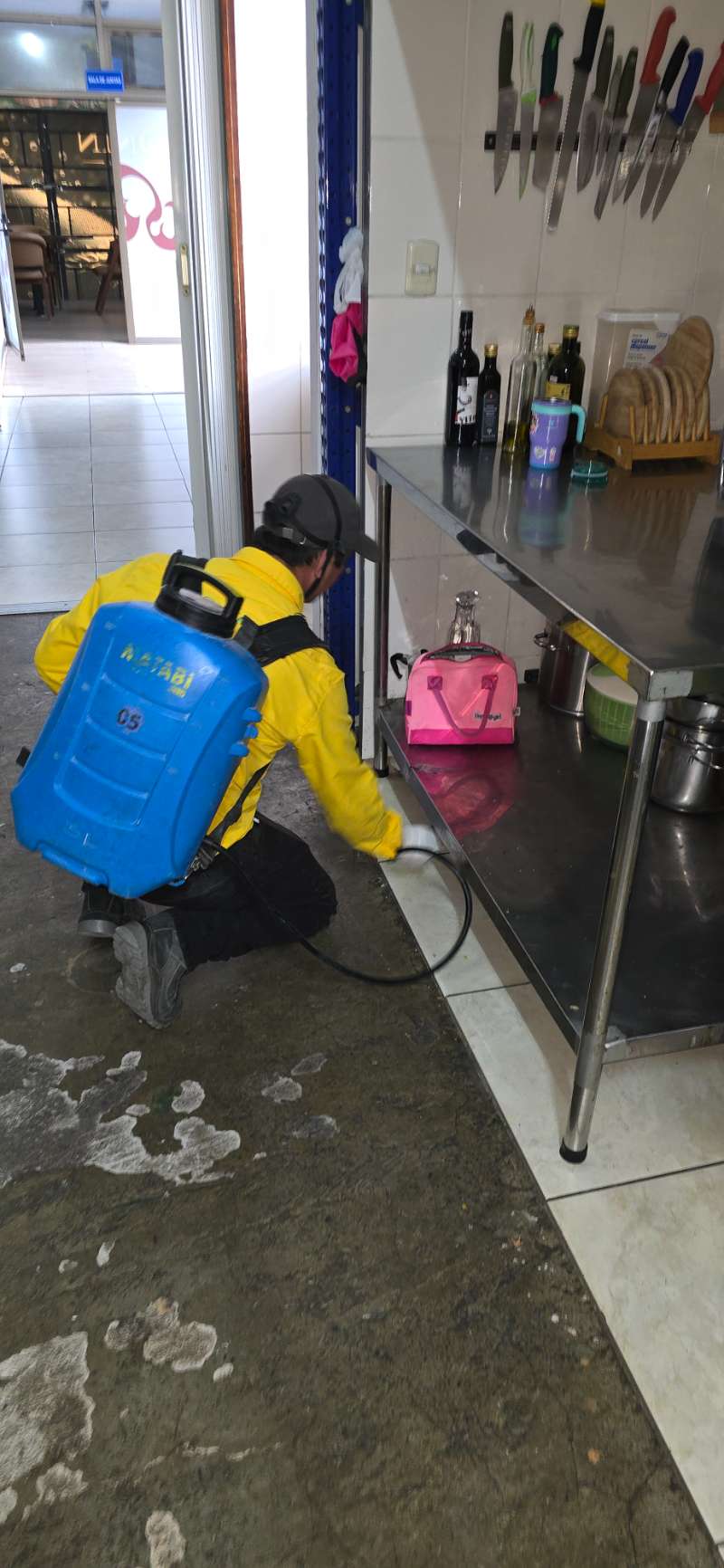 EcoPlagas technician applying targeted treatment under the steel counters of an industrial kitchen