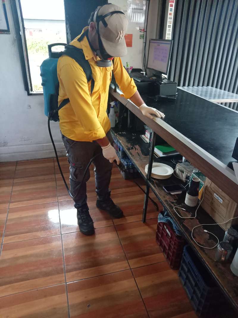 EcoPlagas technician in respirator and gloves treating under a retail counter
