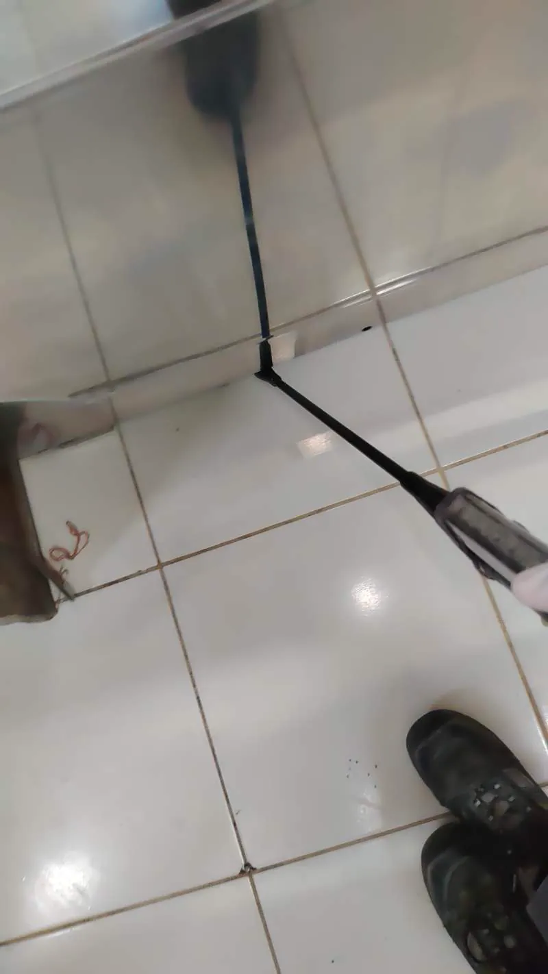 EcoPlagas technician applying flea treatment to the floor of a house