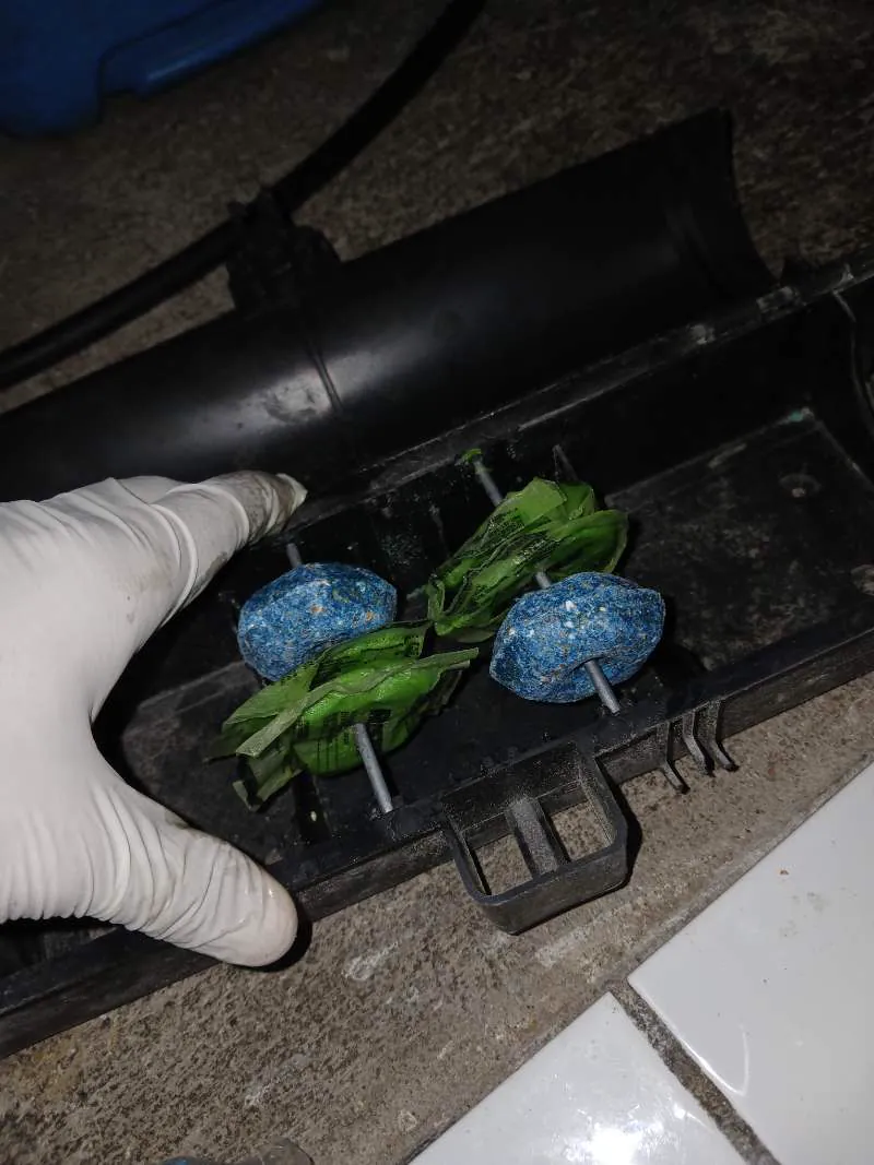 Técnico con guante manipulando cebos para roedores