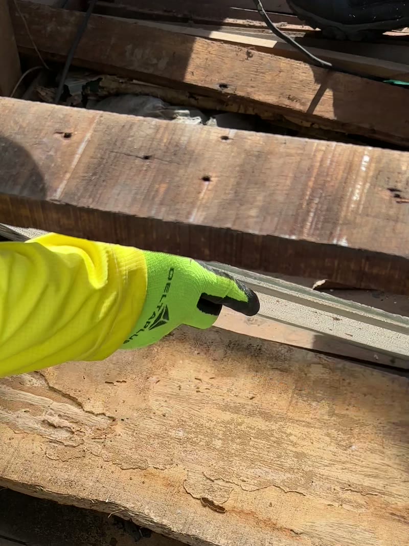 Técnico de EcoPlagas señalando el daño del comején en una viga de madera de un techo