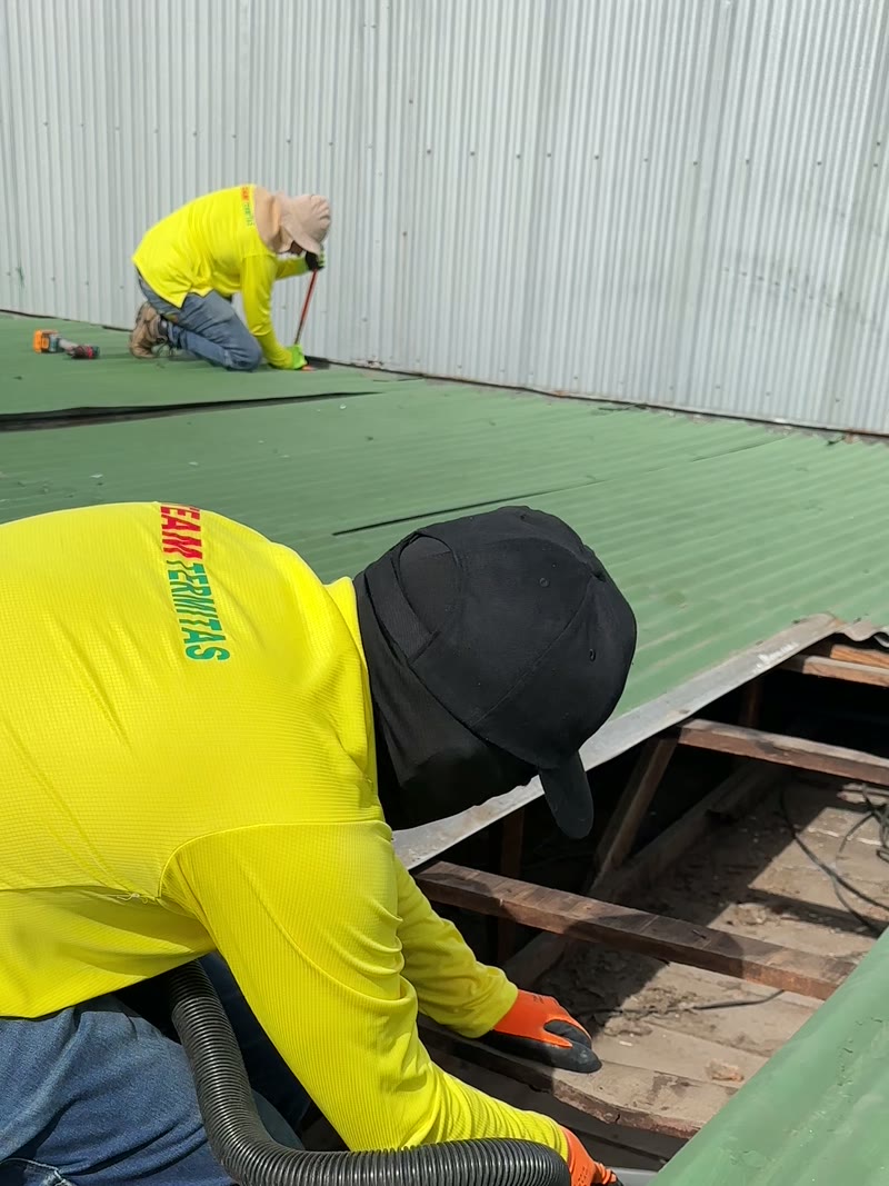 Técnicos de EcoPlagas retirando láminas de techo para tratar una estructura con comején