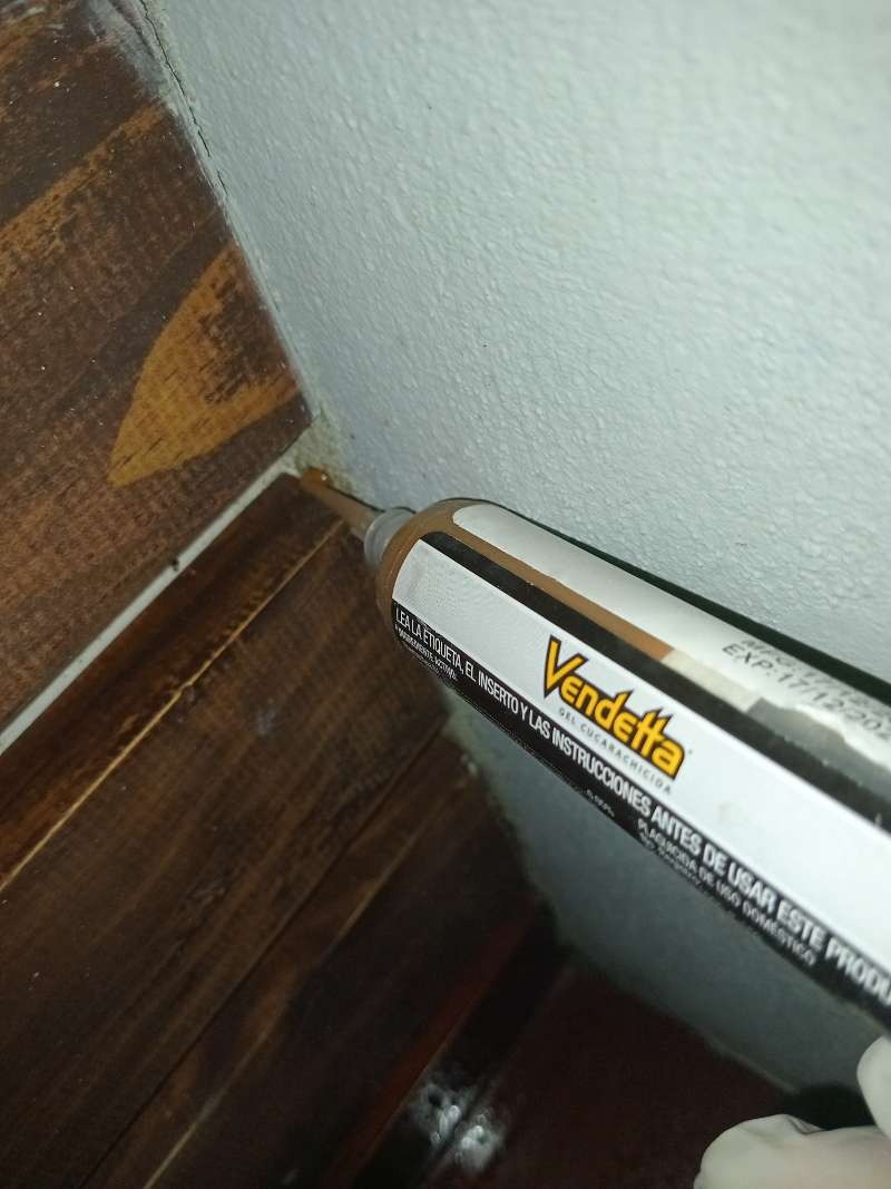 Ant gel bait applied to the corner of a wood cabinet