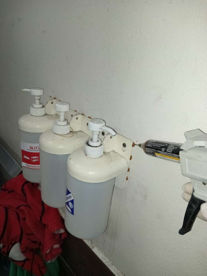 Gel gun treating an ant trail on a wall