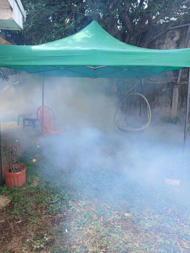 Mosquito fogging treatment in a residential yard under a green awning