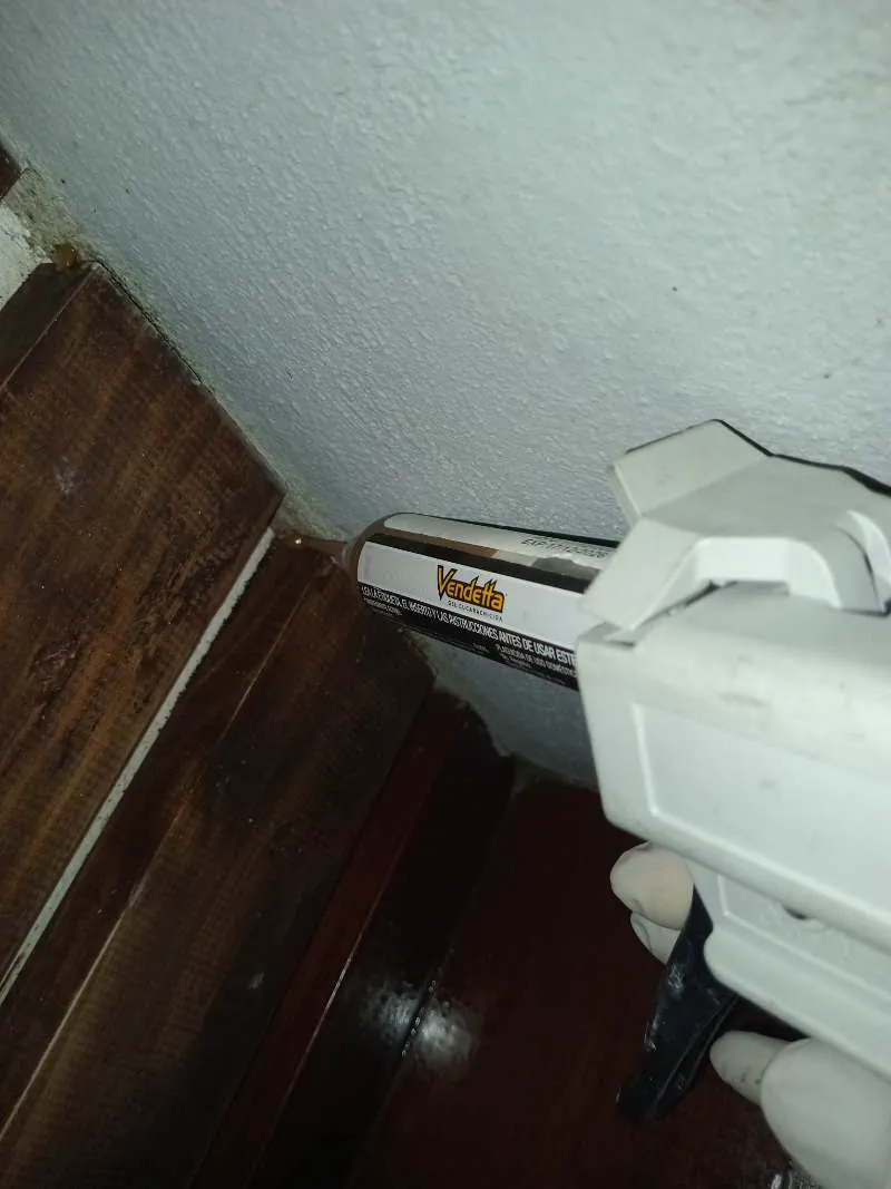 Professional cockroach gel bait applicator gun
