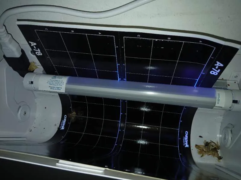 Trampa de luz ultravioleta con lámina adhesiva instalada en la pared de un local de alimentos