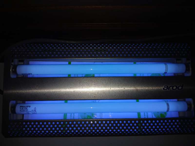 Professional UV light trap turned on, installed by EcoPlagas