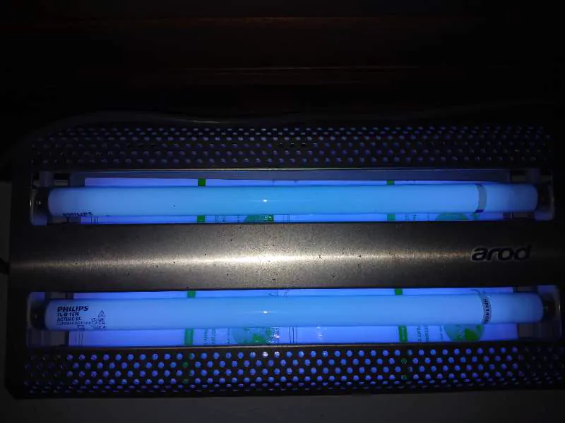 Trampa de luz UV profesional encendida instalada por EcoPlagas