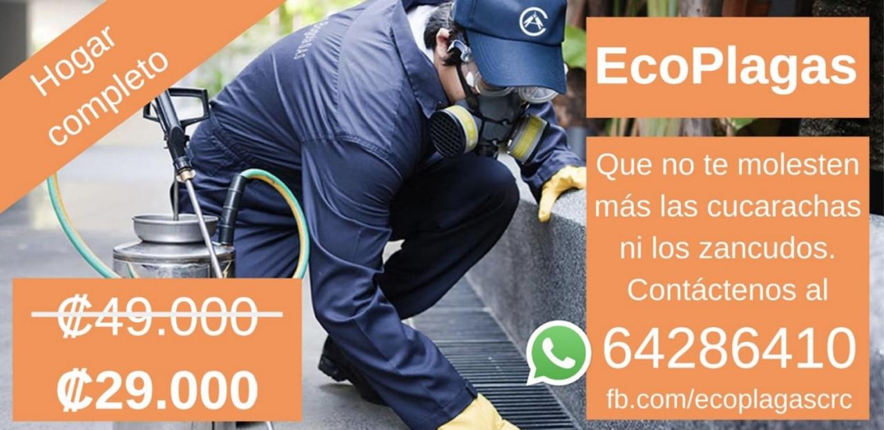 Primer anuncio de EcoPlagas en Facebook: hogar completo por 29.000 colones