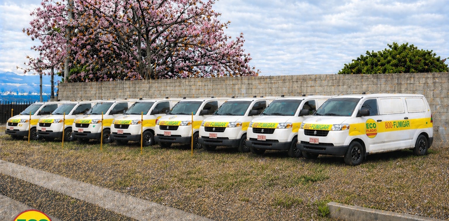 Flota de vans rotuladas de EcoPlagas bajo un árbol florecido