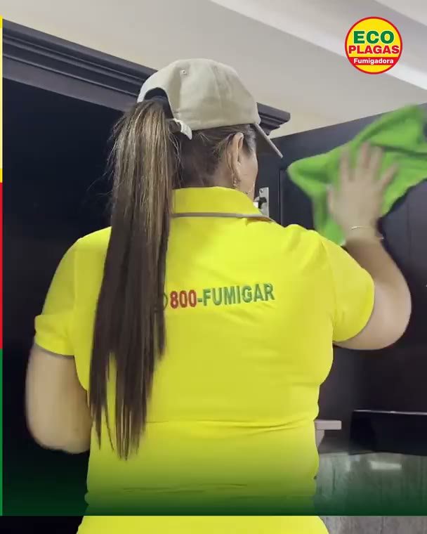 Cucarachas en la cocina: Donde se esconden, no donde se ven