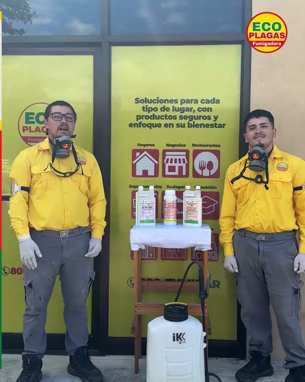 Este es el equipo: Técnicos capacitados, con carné y uniforme