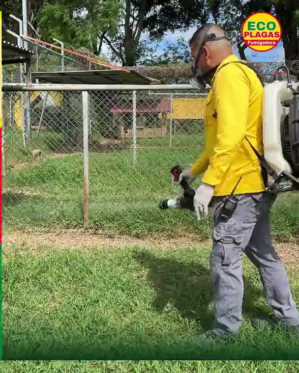 Pulgas y garrapatas: Adentro y afuera, el mismo día