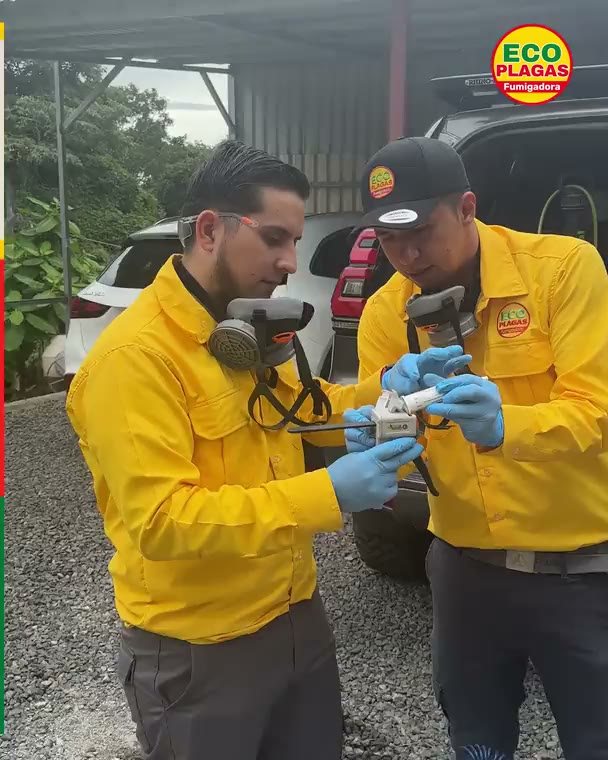 Gel, no solo spray: Un punto en cada bisagra